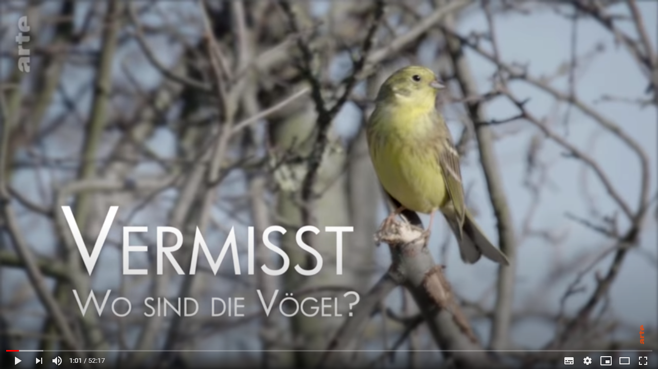 Das Sterben der Vögel – aquaterra70
